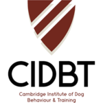 cidbt