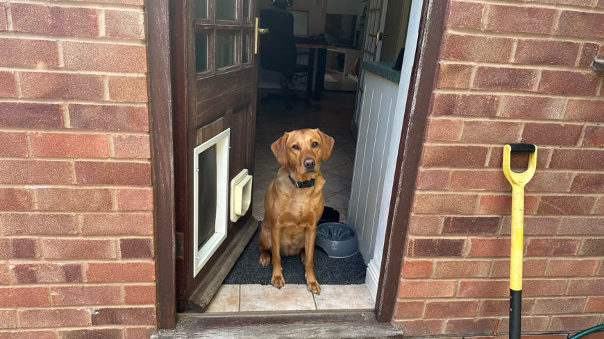 Doorways: The impulse control exercise hidden in everyday life