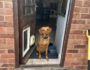 Doorways: The impulse control exercise hidden in everyday life